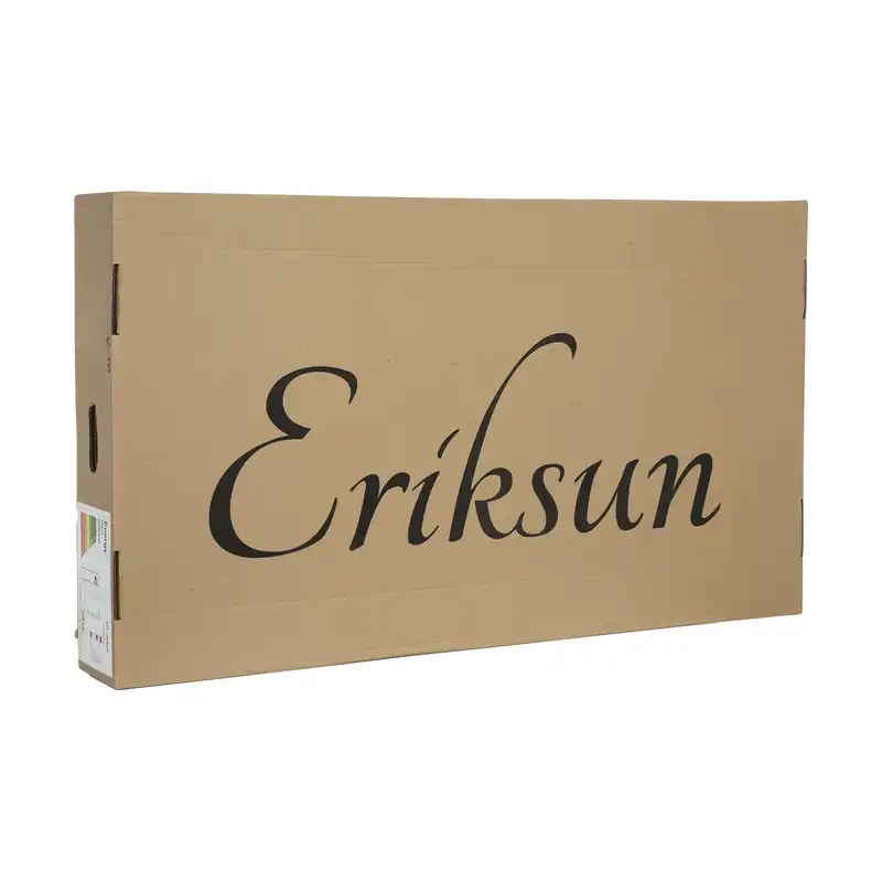 ست هود و اجاق گاز صفحه ای اریکسان مدل MZ3