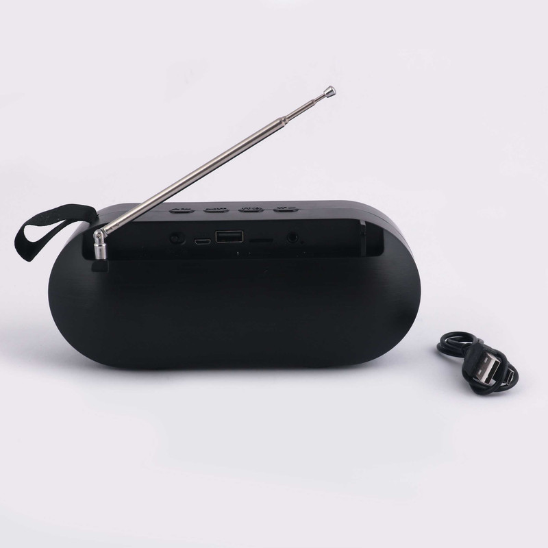 رادیو مدل R100