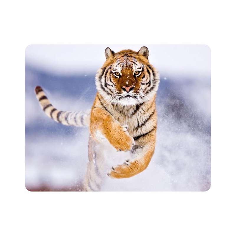 ماوس پد اطلس آبی طرح ببر در برف  مدل T7682