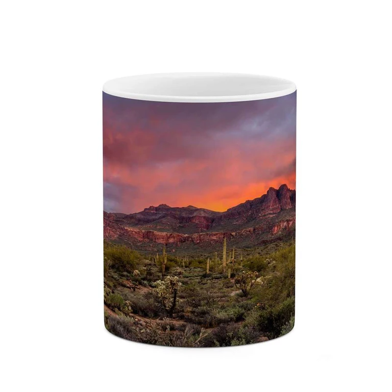 ماگ کاکتی مدل منظره کد mgh16692