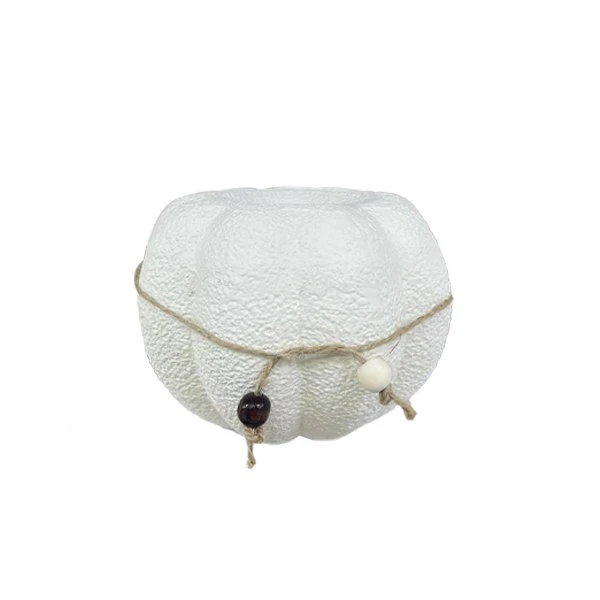 گلدان دکوری کد G97