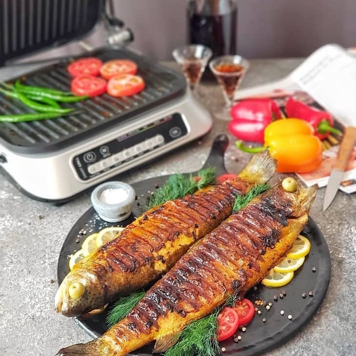 گریل عرشیا مدل 2666