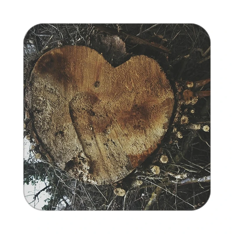 زیر لیوانی کاکتی مدل عاشقانه کد mp11103