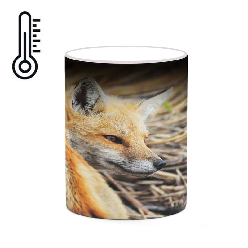 ماگ حرارتی کاکتی مدل روباه کد mgh19260