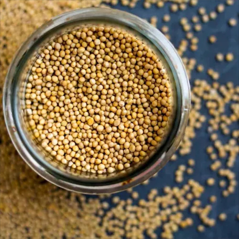 دانه خردل جالینوس - 100 گرم 