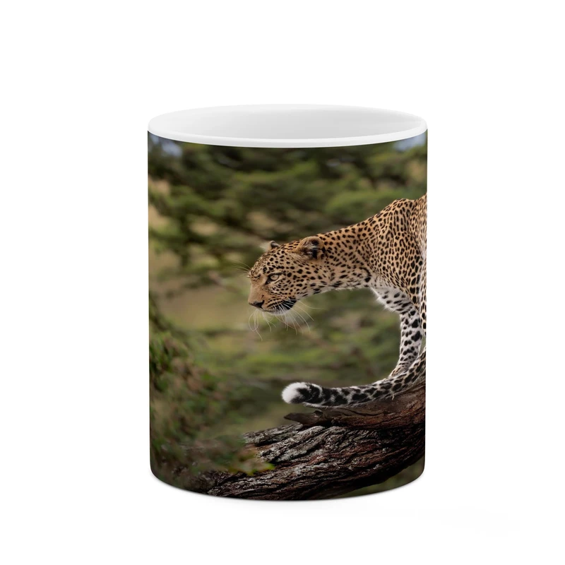 ماگ کاکتی مدل پلنگ کد mgh17646