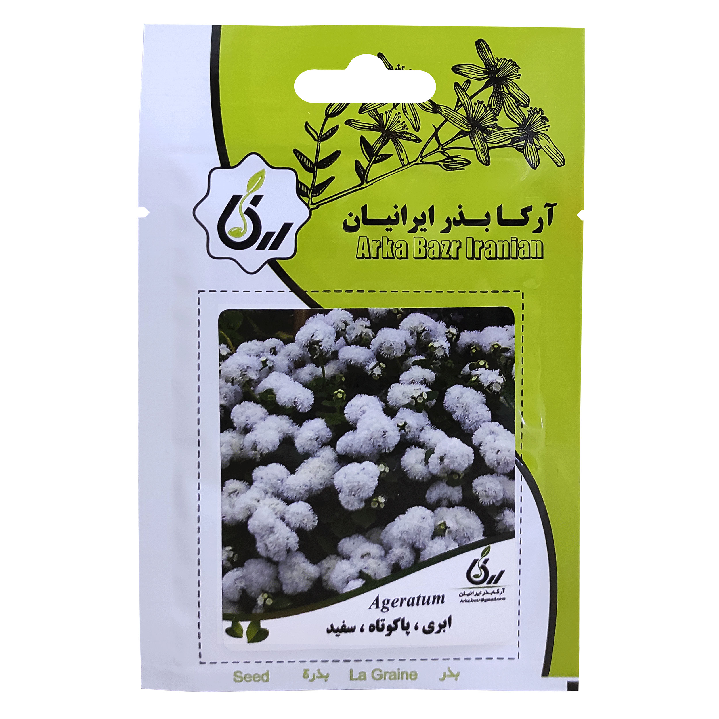 بذر گل ابری پاکوتاه سفید آرکا بذر ایرانیان کد ARK-076