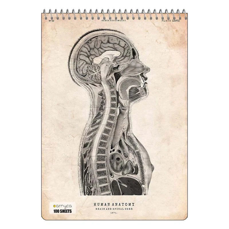 دفتر شطرنجی 100 برگ کارنیکا طرح روزنامه وینتج آناتومی بدن Vintage Newspaper Anatomy کد 98771