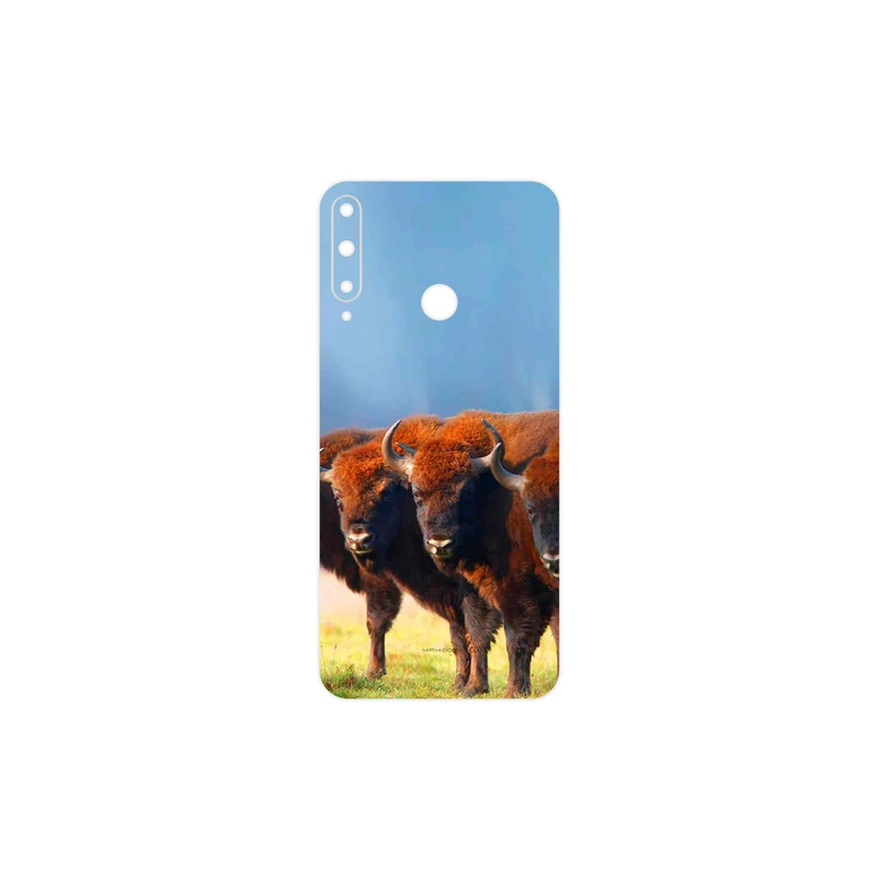 برچسب پوششی ماهوت مدل Buffalo مناسب برای گوشی موبایل هوآوی Y7p