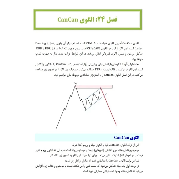 عکس شماره 12 : کتاب مفاهیم و کلیات پرایس اکشن rtm اثر سلیمه صدیقی و دکتر سمیه محمدی انتشارات باوین