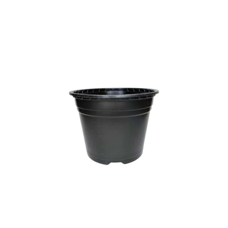 گلدان مدل ژله ای بسته 200 عددی گلدان مدل ژله ای بسته 200 عددی