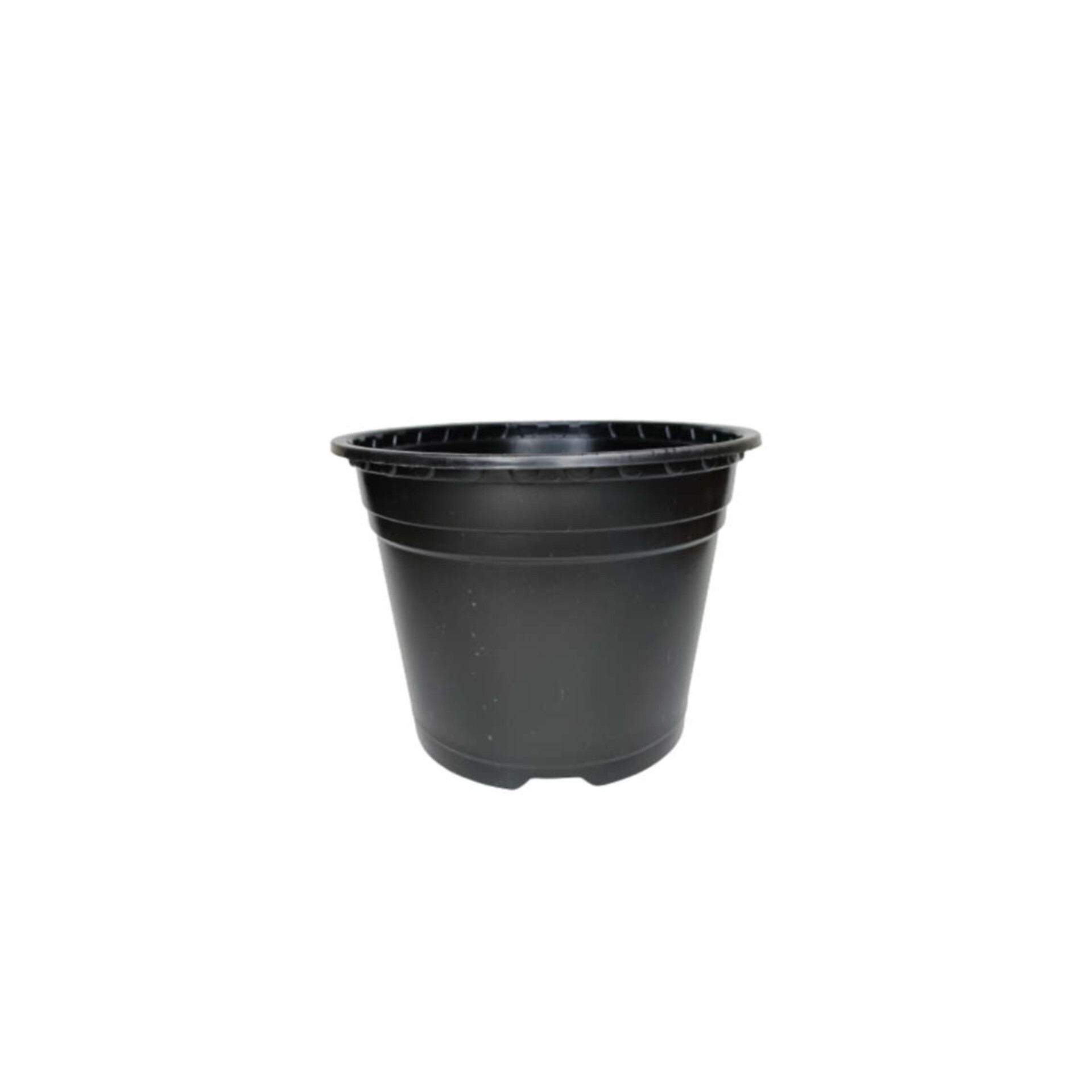 گلدان مدل ژله ای بسته 200 عددی گلدان مدل ژله ای بسته 200 عددی