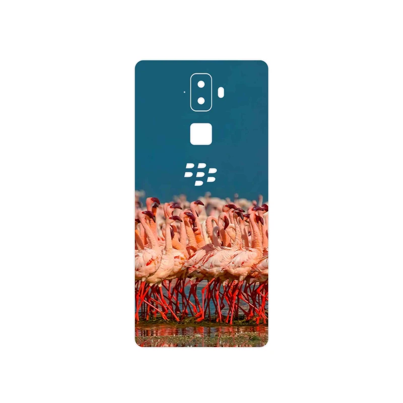 برچسب پوششی ماهوت مدل Flamingo مناسب برای گوشی موبایل بلک بری Evolve