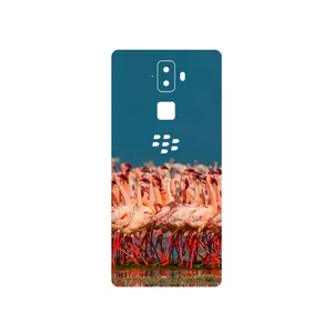 MAHOOT Flamingo Cover Sticker for BlackBerry Evolve