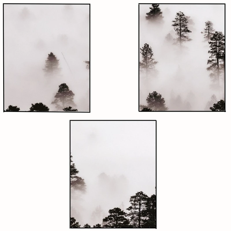 پوستر مدل مستر جنگل مه آلود -منظره مه آلود مجموعه 3 عددی