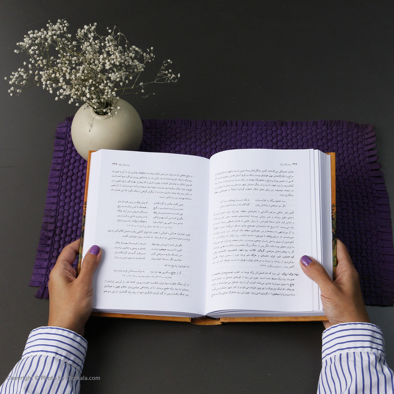 کتاب فرهنگ جغرافیای تاریخی شاهنامه اثر مهدی سیدی فرخد نشر نی