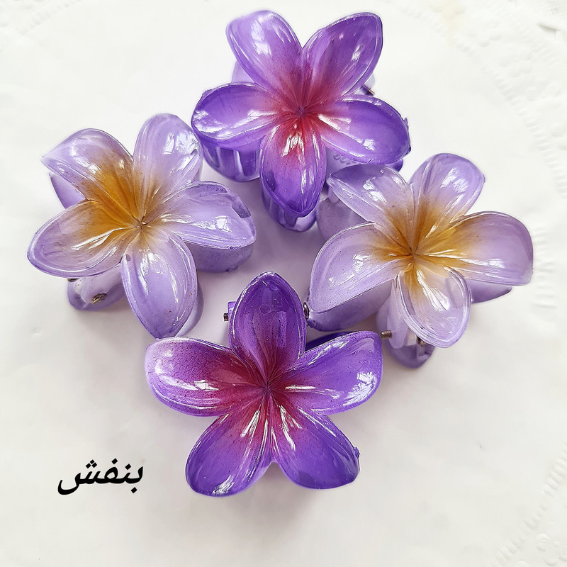 کلیپس مو زنانه مدل گل پلومریا کد 421 بسته 2 عددی