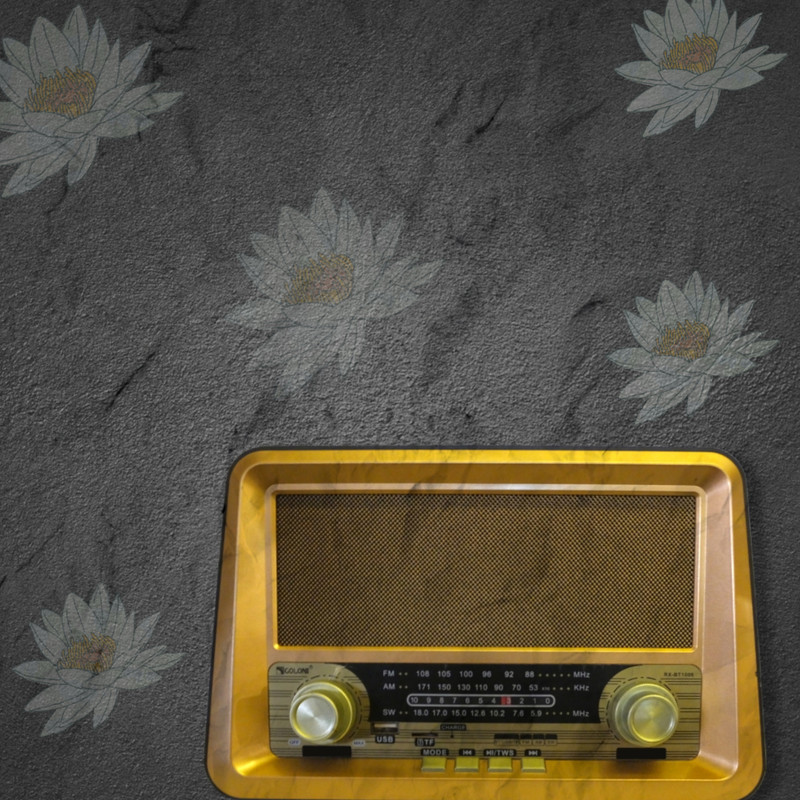 رادیو مدل EE2222 رادیو مدل EE2222