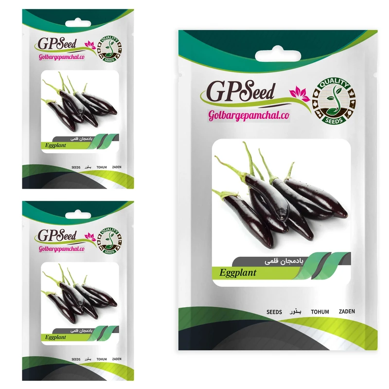 بذر بادمجان قلمی گلبرگ پامچال کد GPF-103 مجموعه 3 عددی