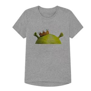 تی شرت آستین کوتاه پسرانه مدل شاه شرک کد20 Z رنگ طوسی