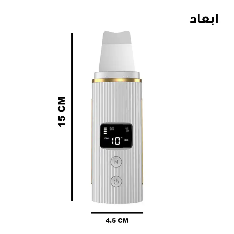 اتوی صورت مدل 8818