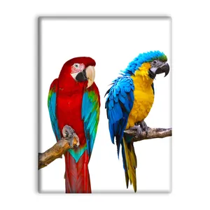 کاشی اطلس آبی طرح طوطی مدل T5896