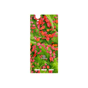 MAHOOT Atom Universe 3 Cover Sticker for Sony Xperia T2 Ultra