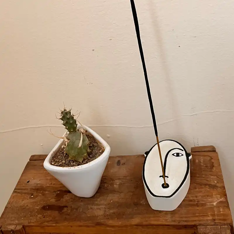 جاعودی مدل صورتک کد 03