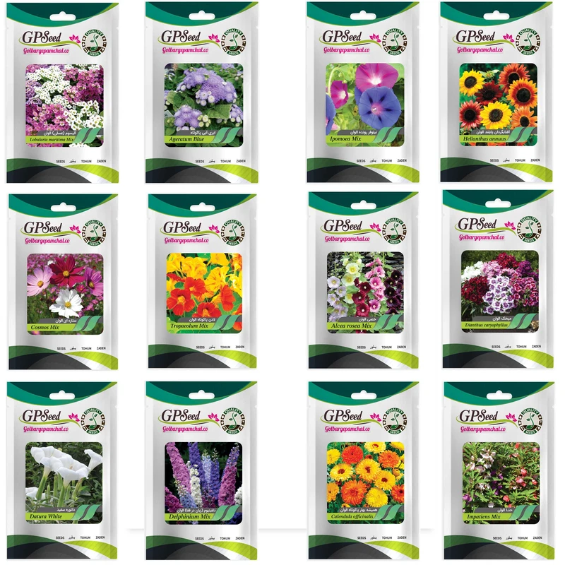 بذر گل های باغچه ای با رویش آسان گلبرگ پامچال کد G-P-GP-012 مجموعه 12 عددی