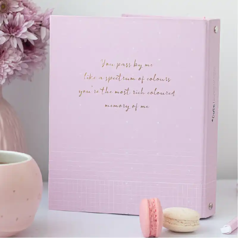 دفتر کلاسوری 100 برگ طرح کیوت کد RBC-150