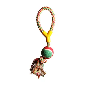 تاگ آموزشی سگ کد 035