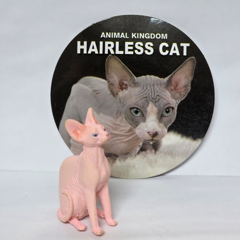 فیگور ناب سل مدل گربه کد HAIRLESS CAT NAAB025 ارتفاع 5 سانتی متر