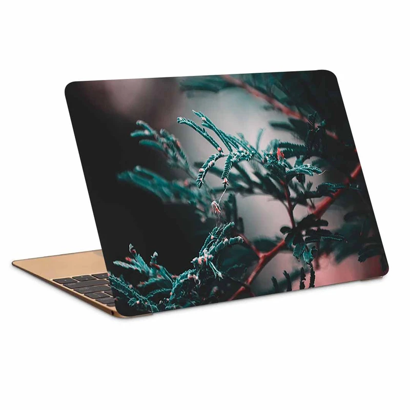 استیکر لپ تاپ طرح branch leaves plant کد N-63مناسب برای لپ تاپ 15.6 اینچ