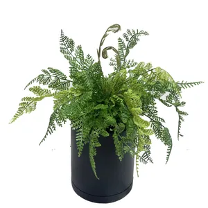 گلدان به همراه گل مصنوعی مدل سرخس کاجی کد 170