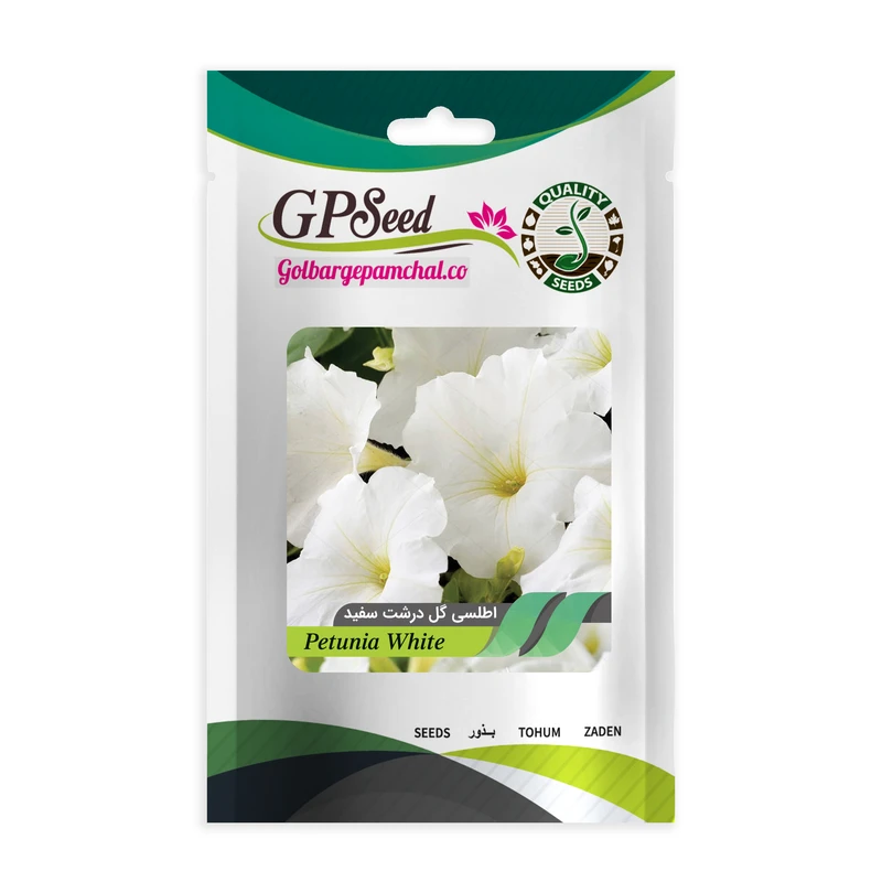 بذر گل اطلسی ایرانی گل درشت پرگل تک رنگ سفید گلدانی گلبرگ پامچال کد GPF-021