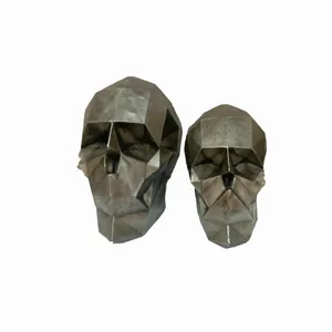 مجسمه مدل جمجمه مجموعه 2 عددی