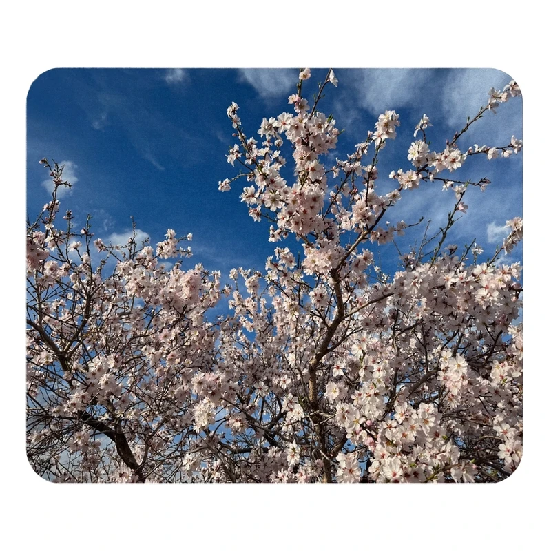ماوس پد مدل شکوفه سایز 19x24 سانتی متر