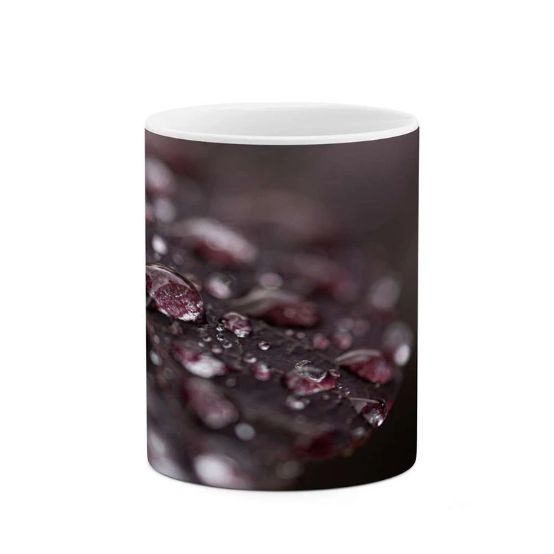 ماگ کاکتی مدل فانتزی کد mgh16159