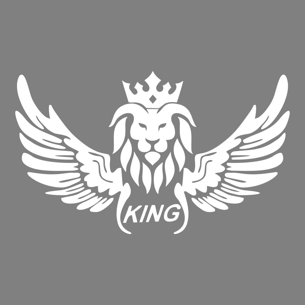 برچسب بدنه خودرو ماتریسیو طرح بال king کد M247