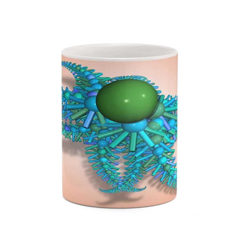 ماگ کاکتی مدل فانتزی کد mgh18129