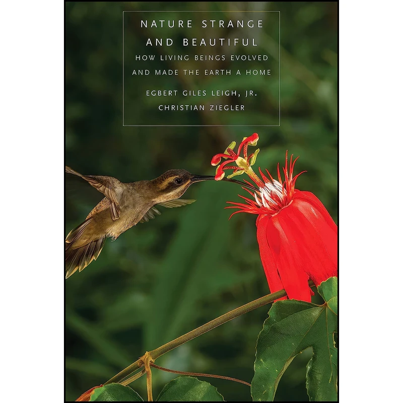 کتاب Nature Strange and Beautiful اثر جمعي از نويسندگان انتشارات Yale University Press