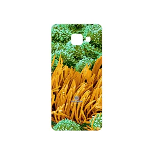 MAHOOT Atom Universe 6 Cover Sticker for Samsung Galaxy A3 2016