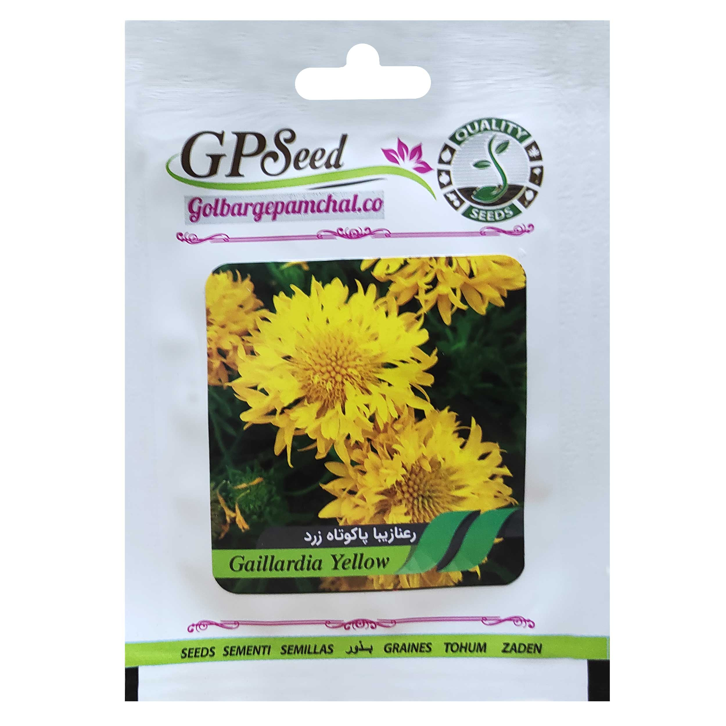  بذر گل رعنا زیبا پاکوتاه زرد گلبرگ پامچال کد GPF-246