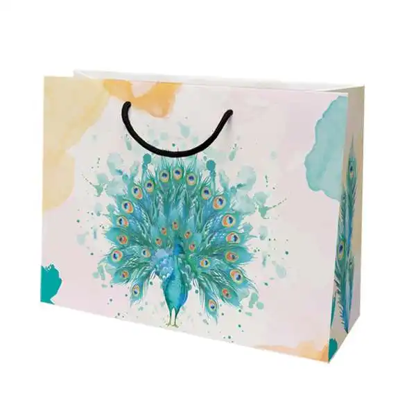 ساک دستی مدل 10236 بسته 12 عددی