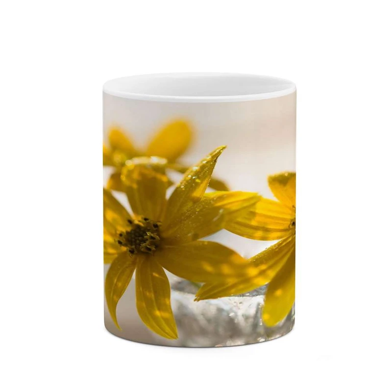 ماگ کاکتی مدل گل کد mgh16204