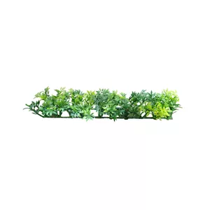 گیاه تزیینی آکواریوم مدل چمن خطی مونت کارلو