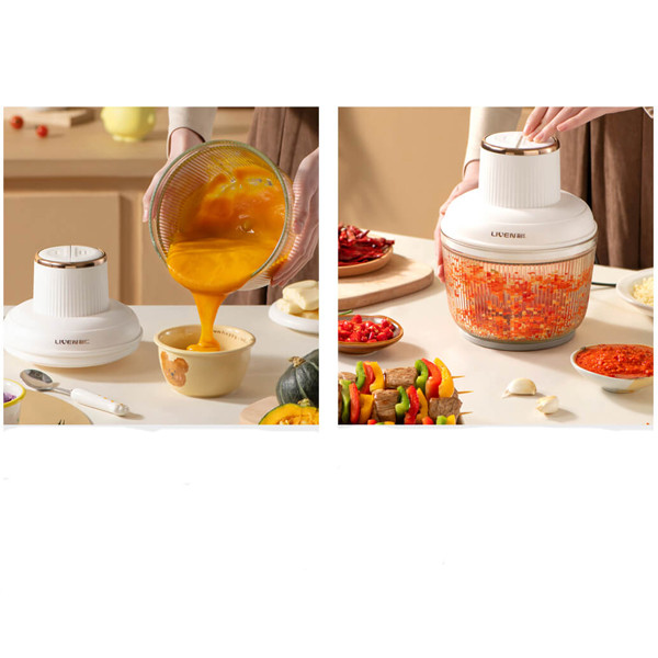خردکن لیوون مدل JRJ-W320