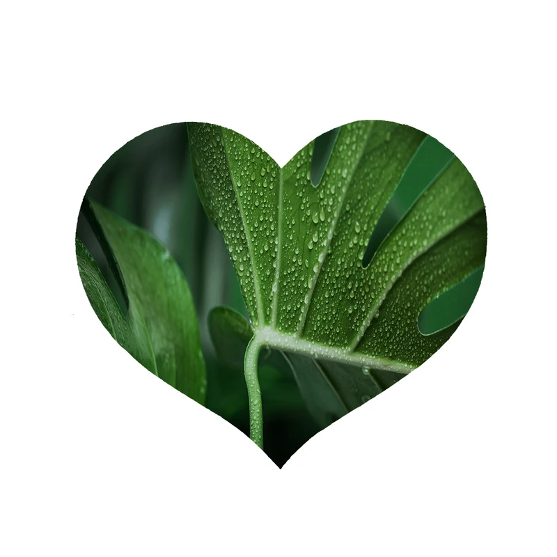   پادری مدل قلبی طرح برگ کد 8359 سایز 90 × 90 سانتی‌متر