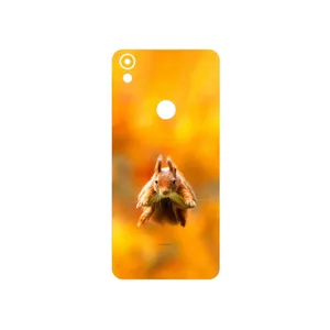 MAHOOT Squirrel Cover Sticker for Tecno Camon CM