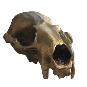 جمجمه تزیینی آکواریوم مدل MJK2020